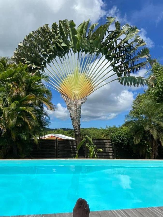 Fleur Des Caraibes Apartment Sainte-Anne Ngoại thất bức ảnh