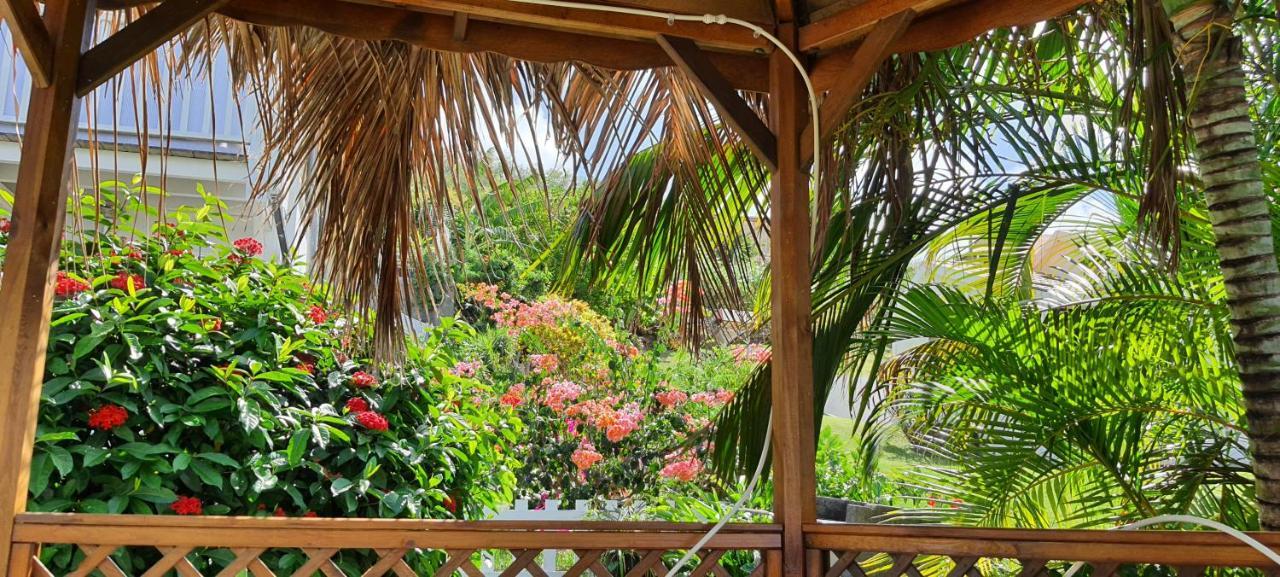 Fleur Des Caraibes Apartment Sainte-Anne Ngoại thất bức ảnh